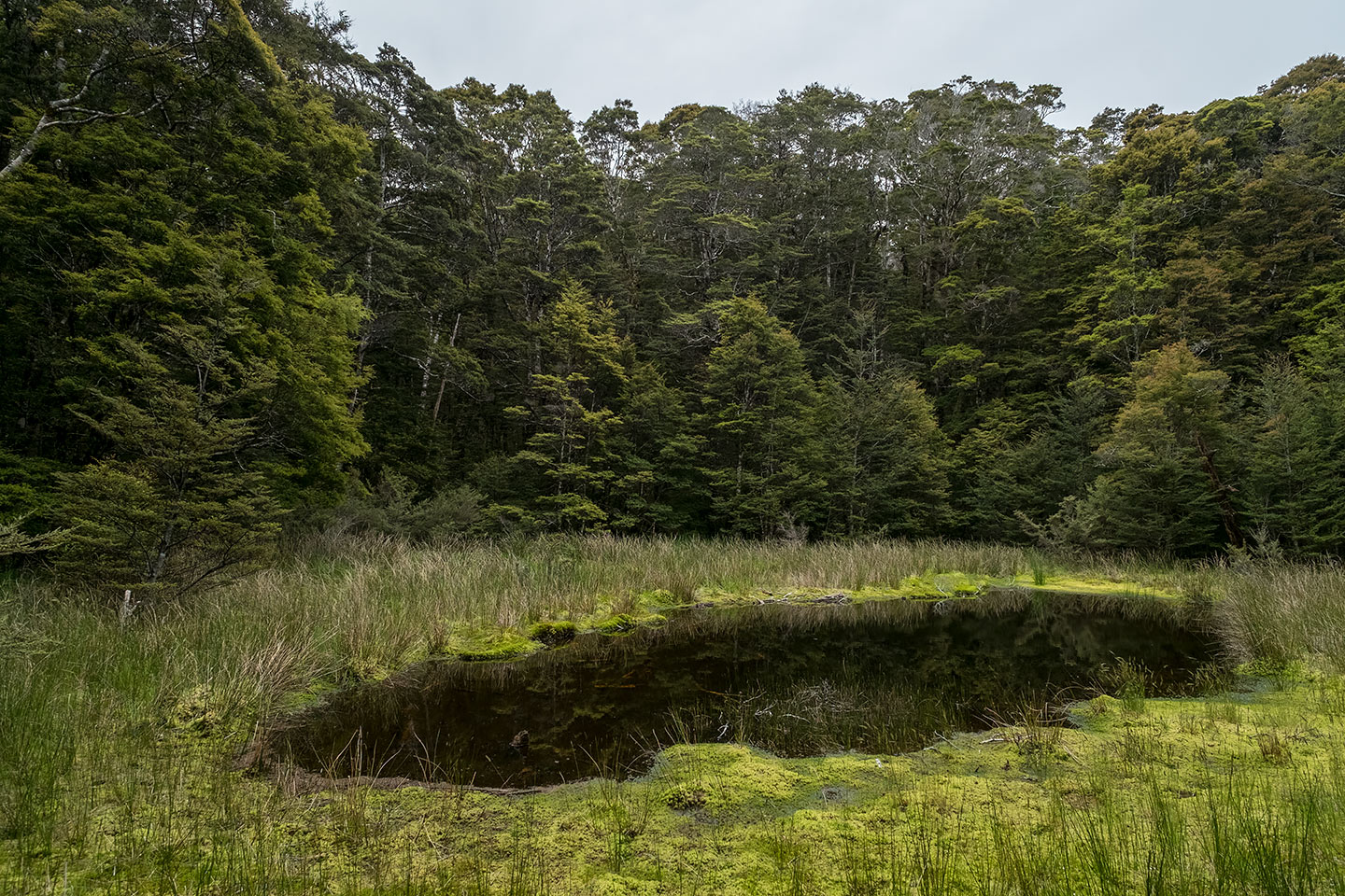 Harwoods Hole, Abel Tasman National Park, Golden Bay, New Zealand