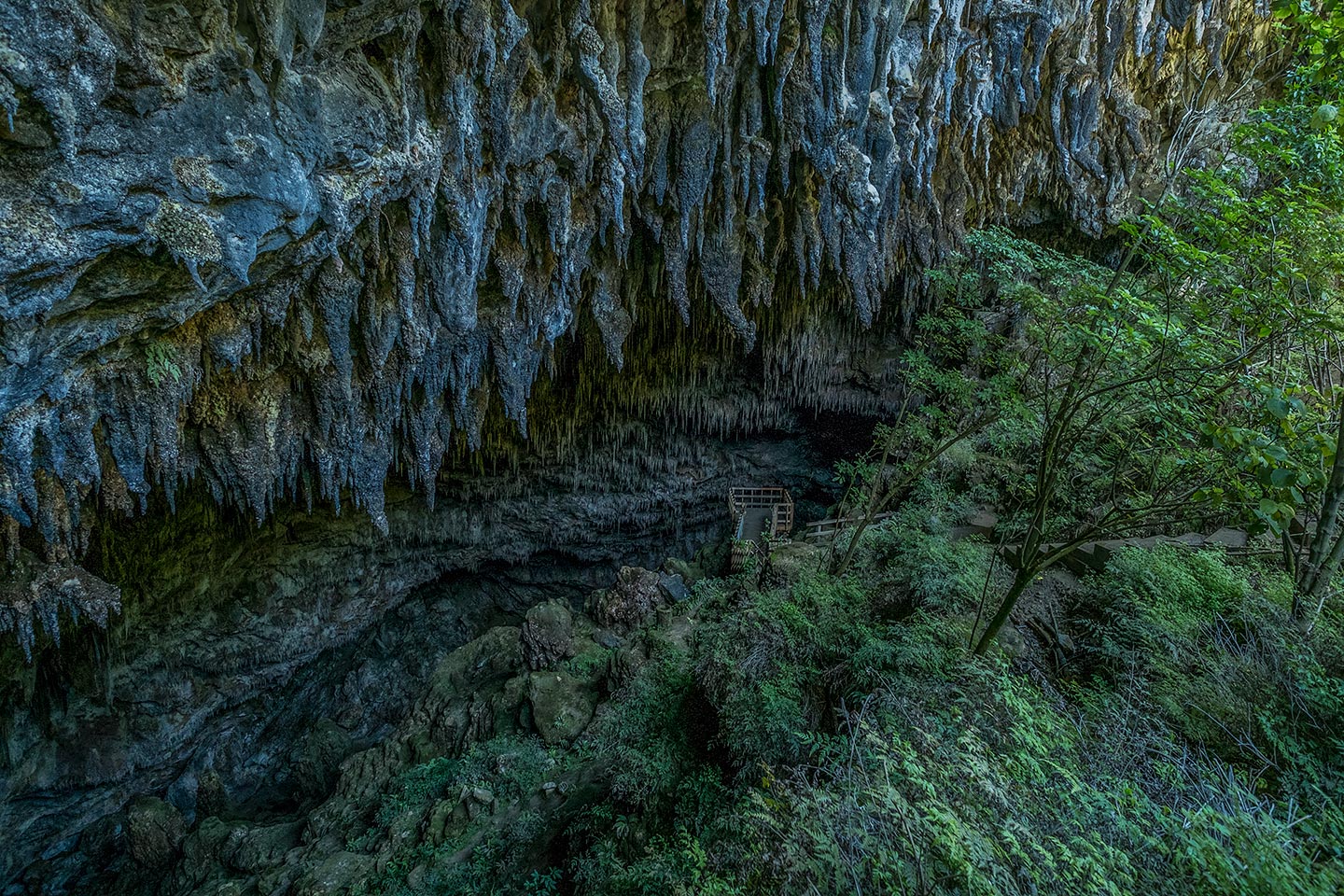 Rawhiti Cave, Abel Tasman National Park