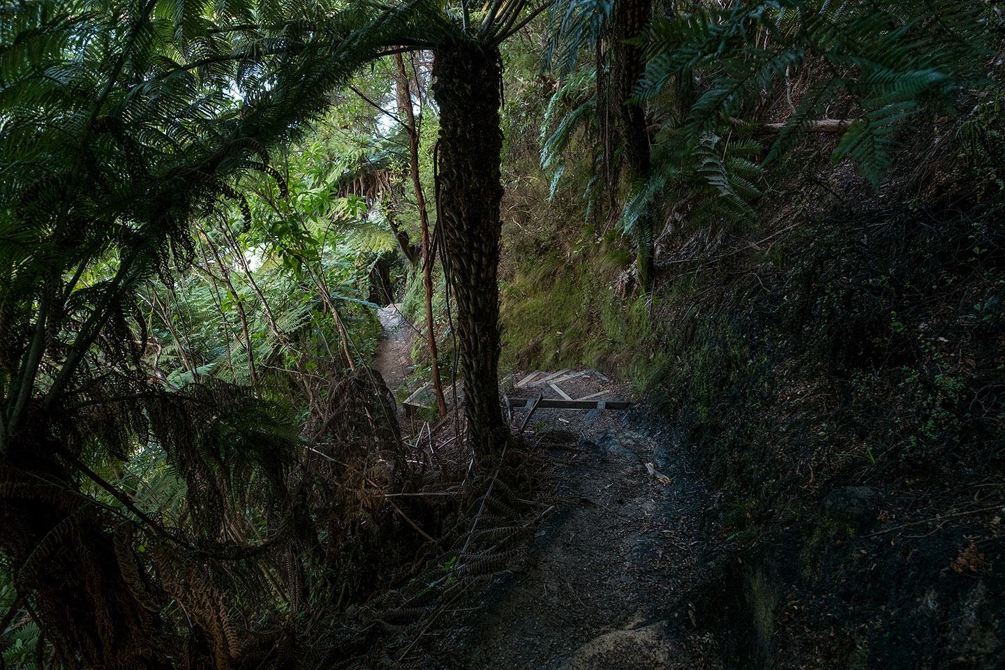 Abel Tasman Coast Track, Abel Tasman National Park, New Zealand