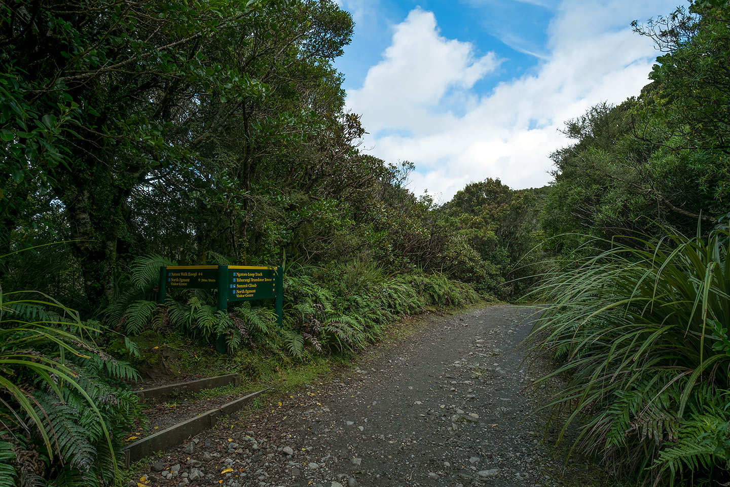 Ngatoro Loop, Egmont National Park, New Zealand