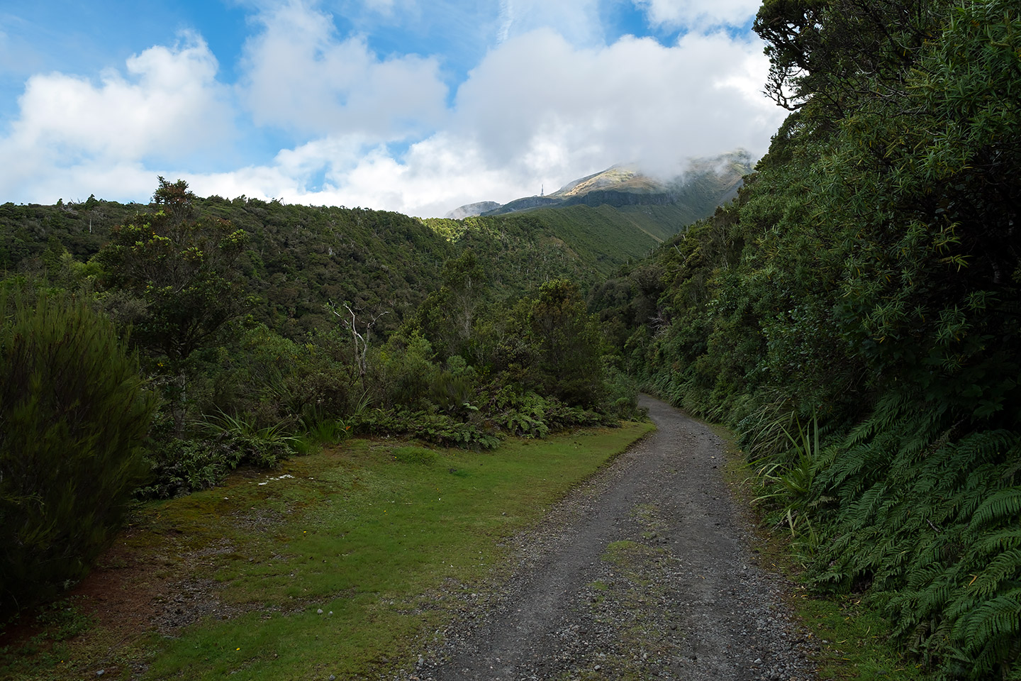 Ngatoro Loop, Egmont National Park, New Zealand