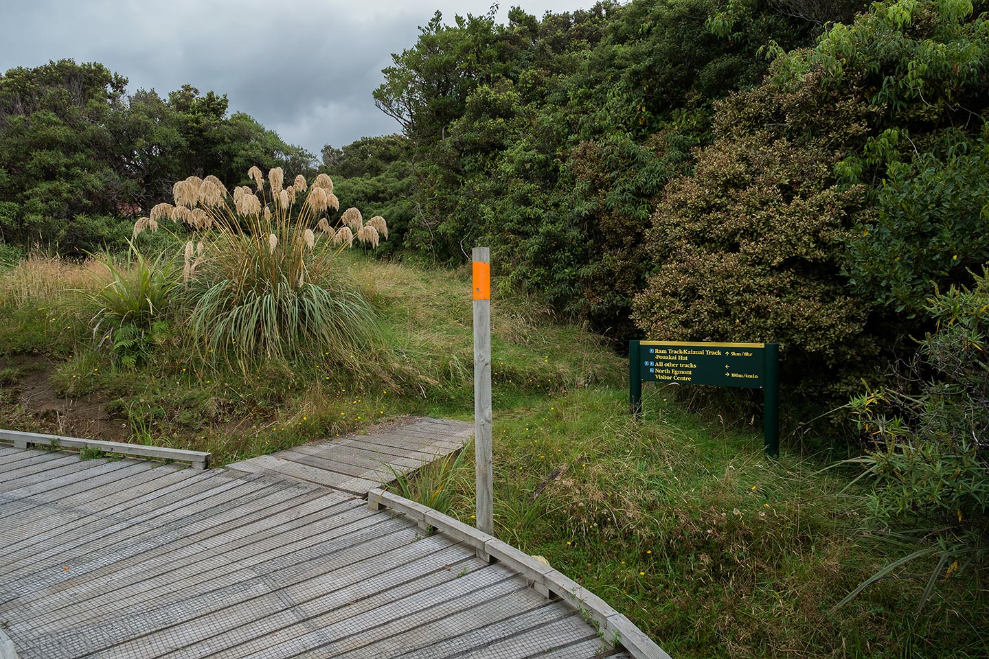 Veronica Loop, Egmont National Park, New Zealand