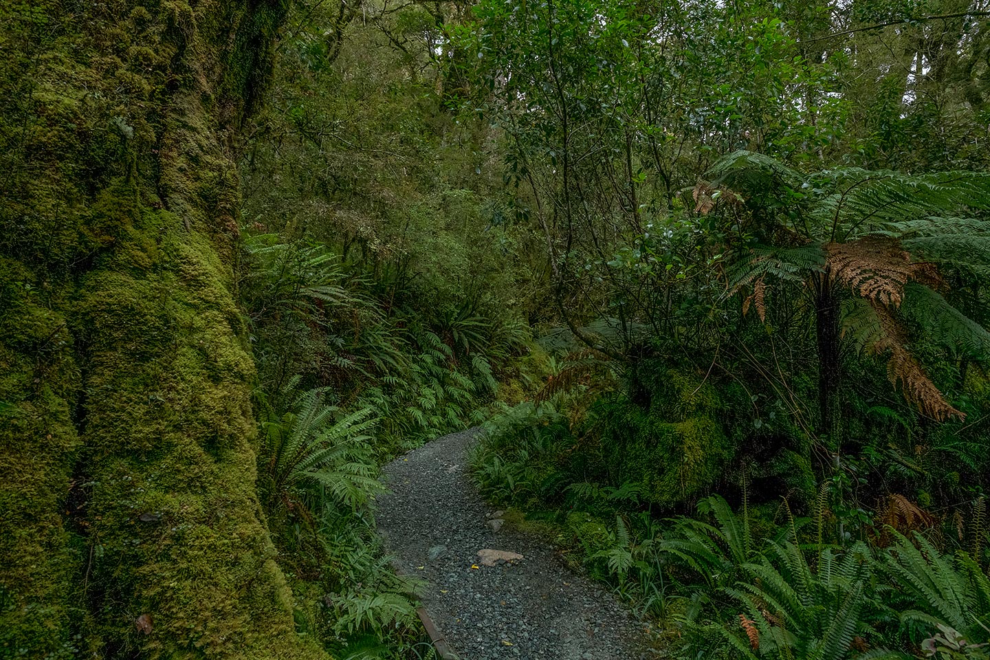 Lake Marian Falls, Fiordland National Park, New Zealand