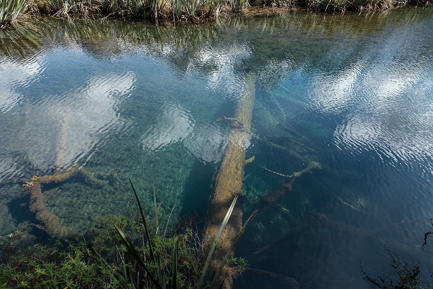 Mirror Lakes, Fiordland National Park, New Zealand