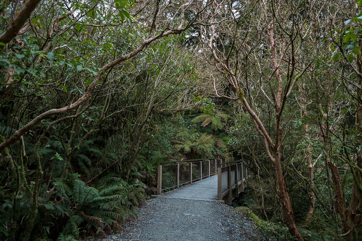 The Chasm, Fiordland National Park, New Zealand