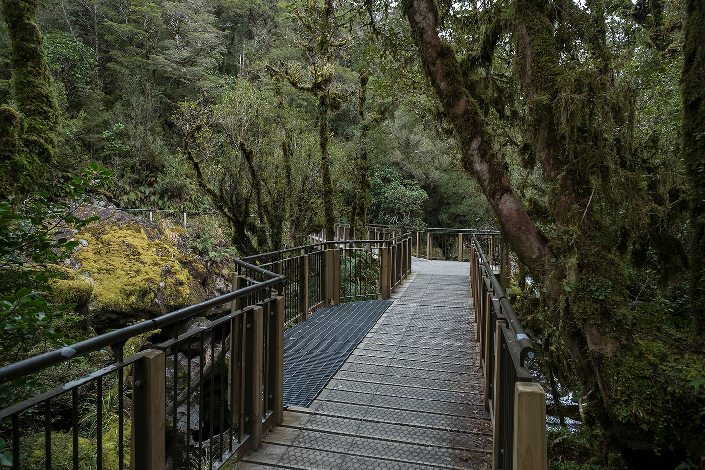The Chasm, Fiordland National Park, New Zealand