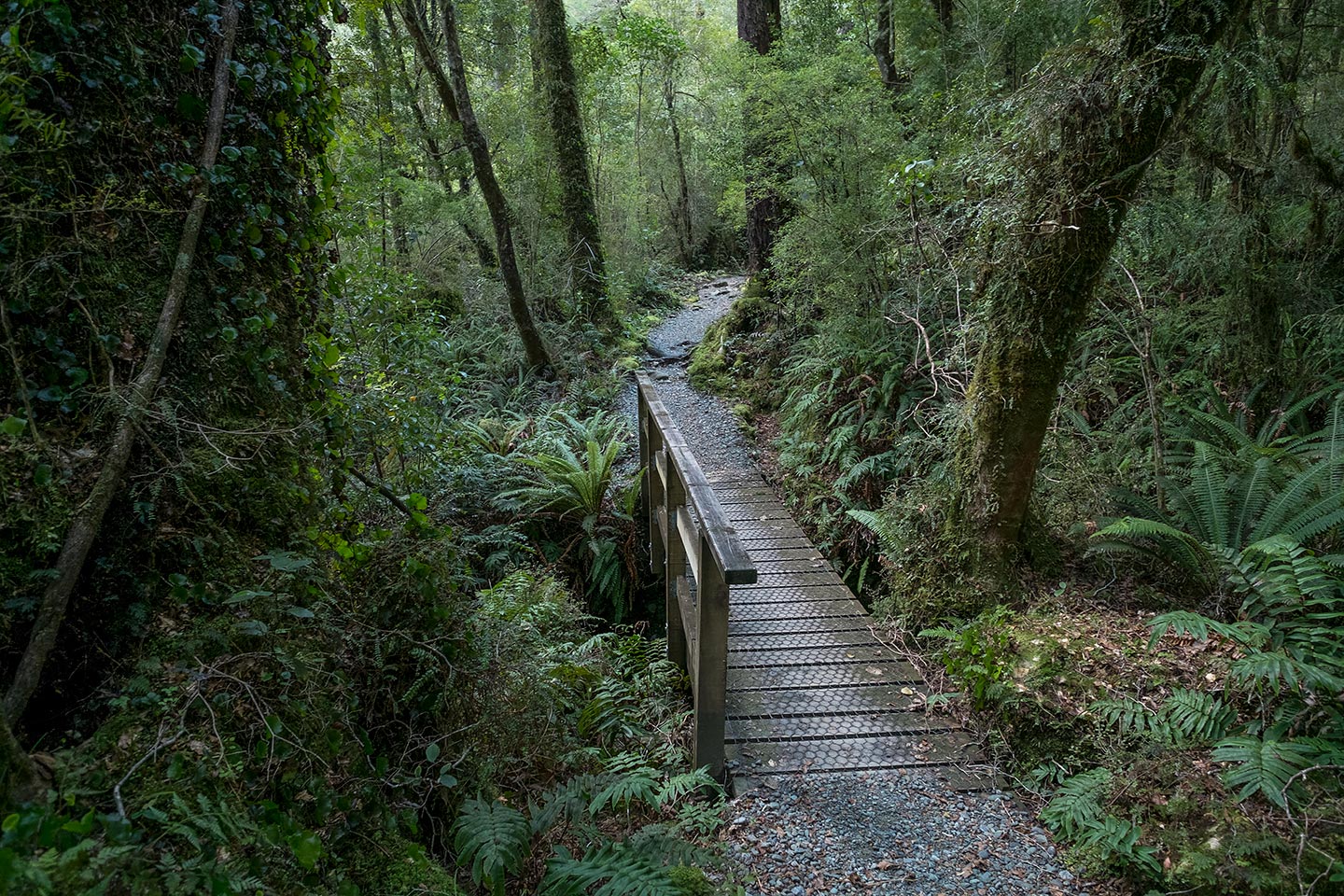 Humboldt Falls, Fiordland National Park, New Zealand