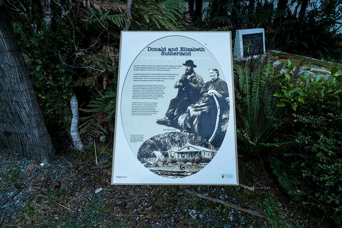 Milford Sound Lookout Walk, Fiordland National Park, New Zealand