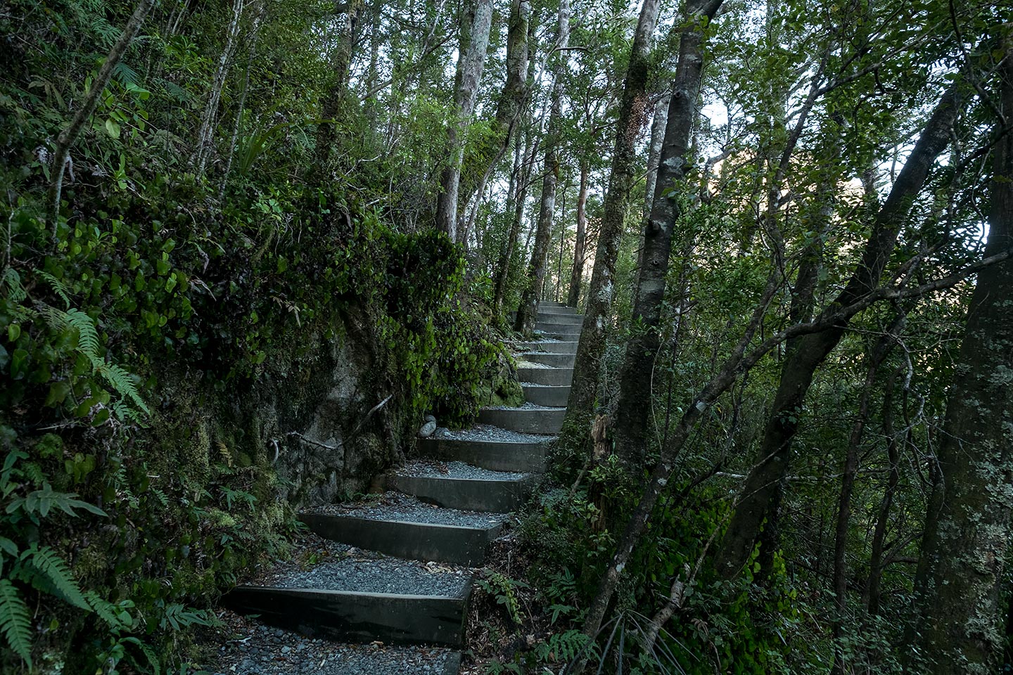 Milford Sound Lookout Walk, Fiordland National Park, New Zealand