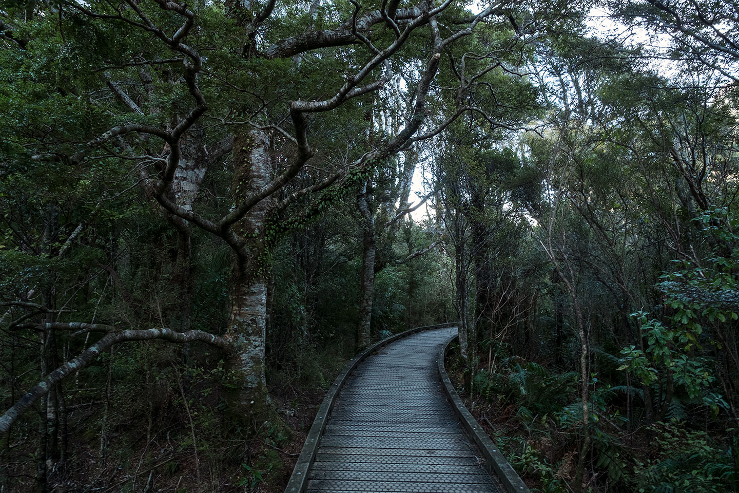 Milford Foreshore Walk, Fiordland National Park, New Zealand
