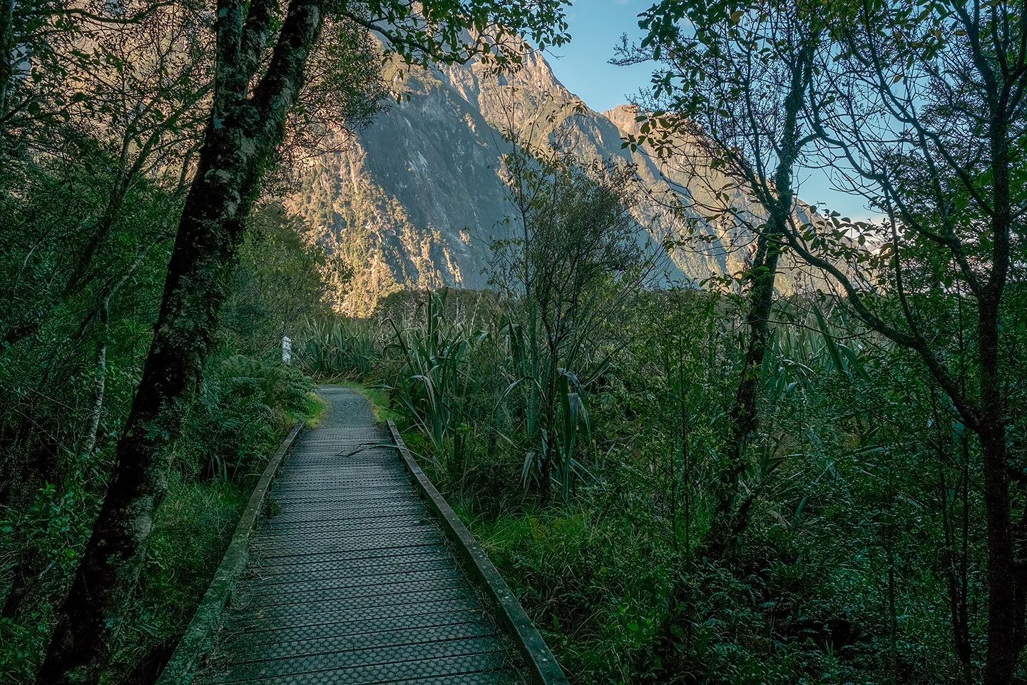 Milford Foreshore Walk, Fiordland National Park, New Zealand