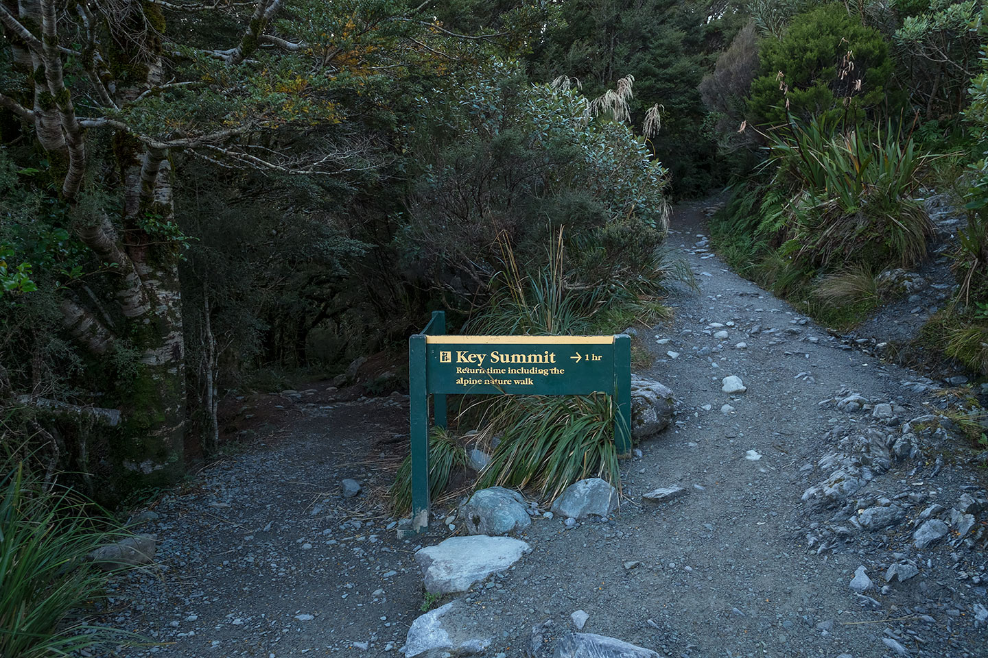 Lake Howden, Fiordland National Park, New Zealand