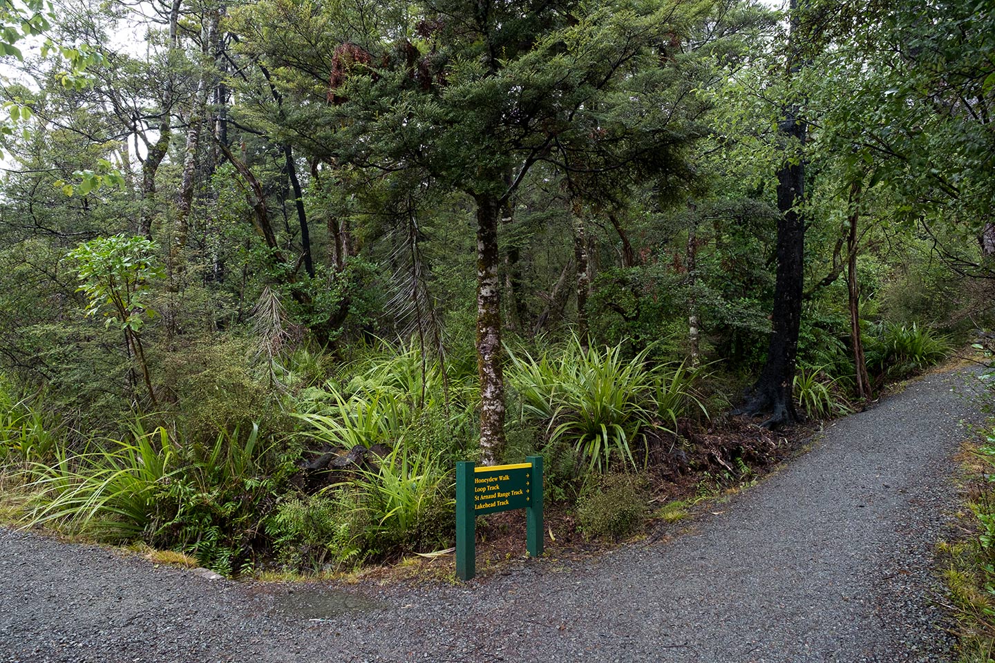 Honeydew Walk, Nelson Lakes National Park, New Zealand