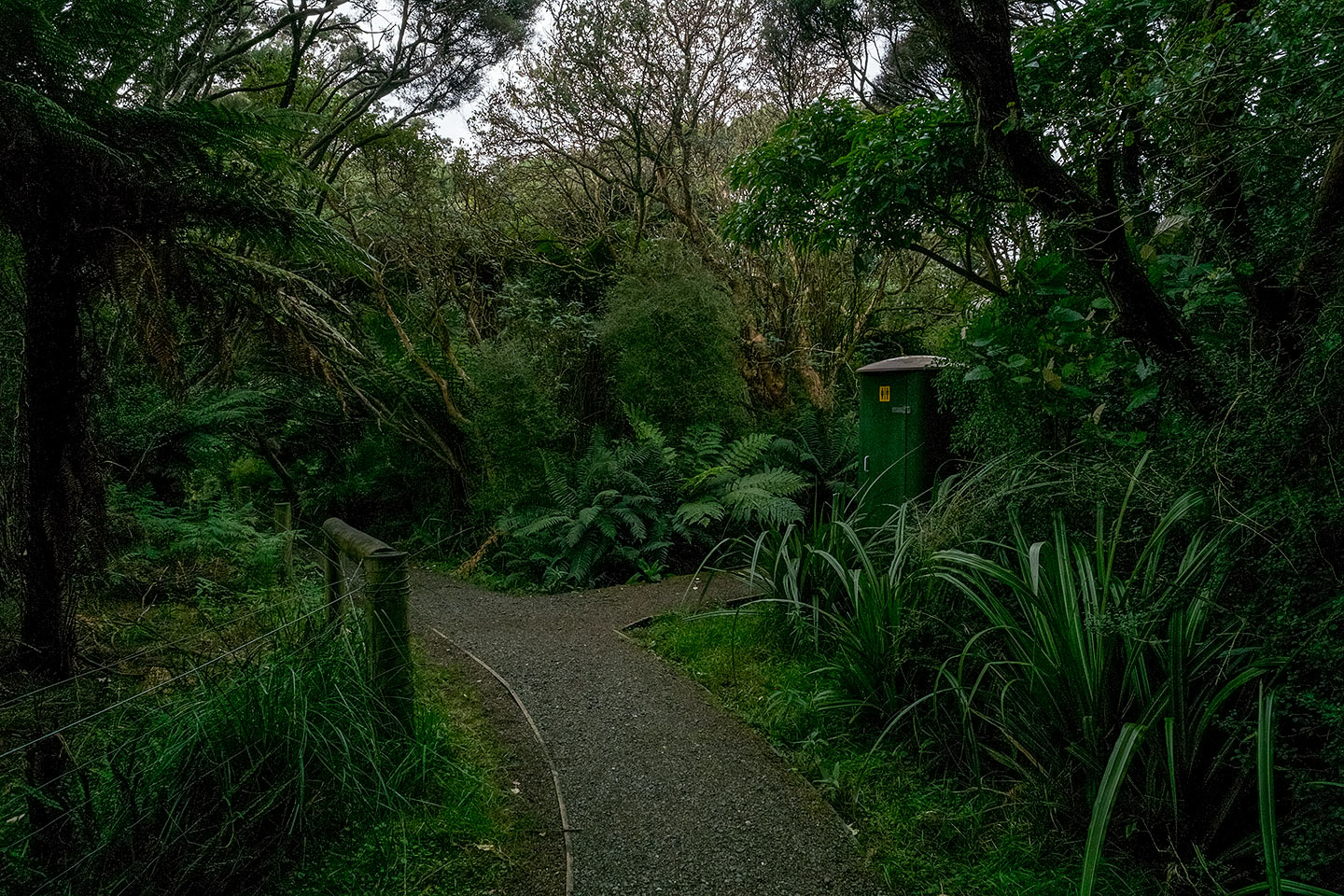 Ackers Point Track, Rakiura National Park, New Zealand