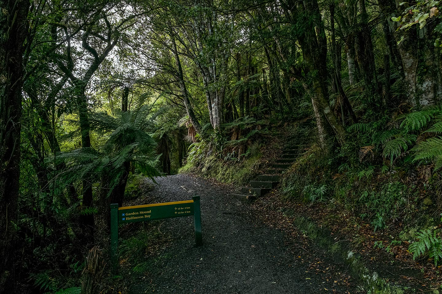 Little River and Garden Mound, Rakiura National Park, New Zealand
