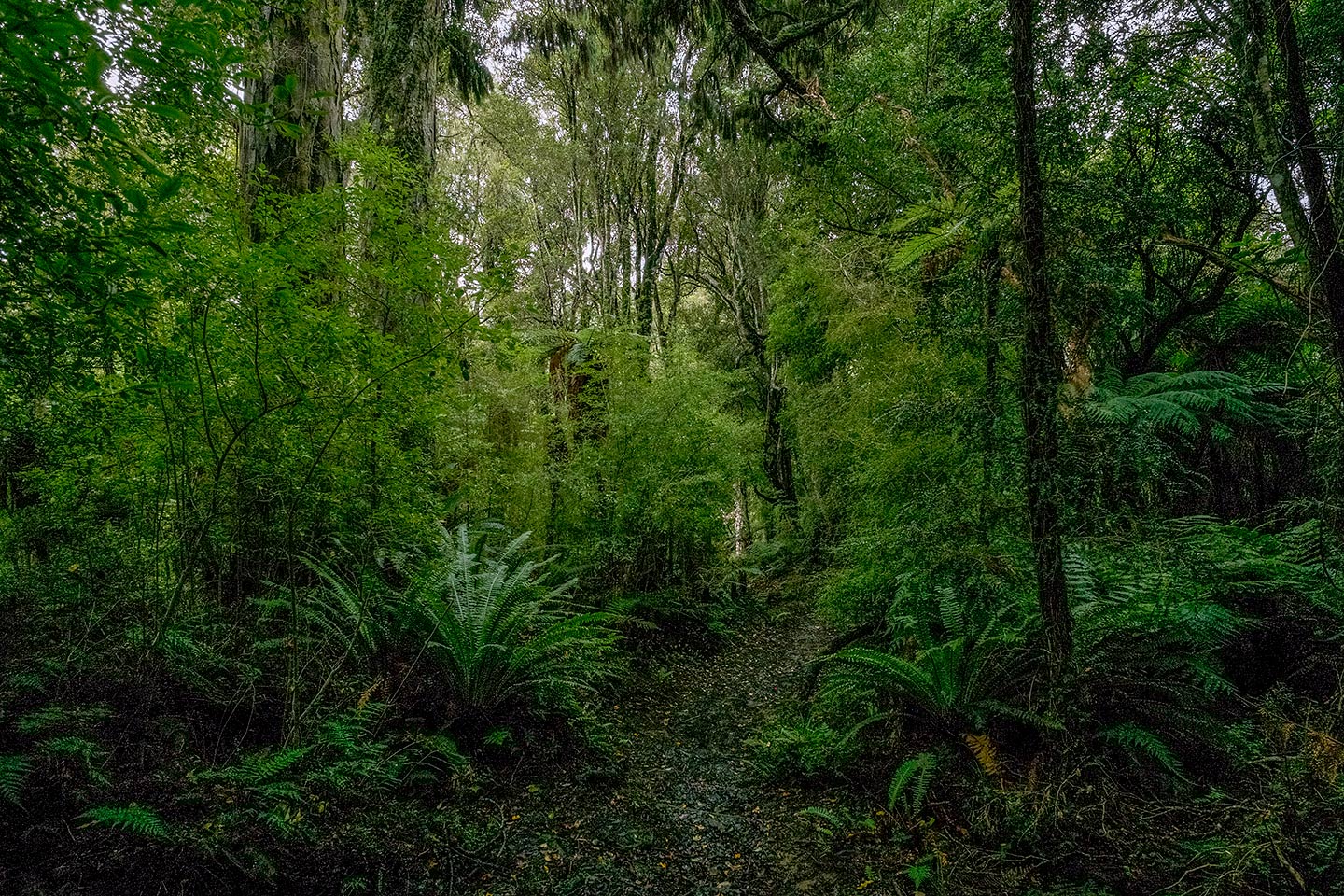 Little River and Garden Mound, Rakiura National Park, New Zealand
