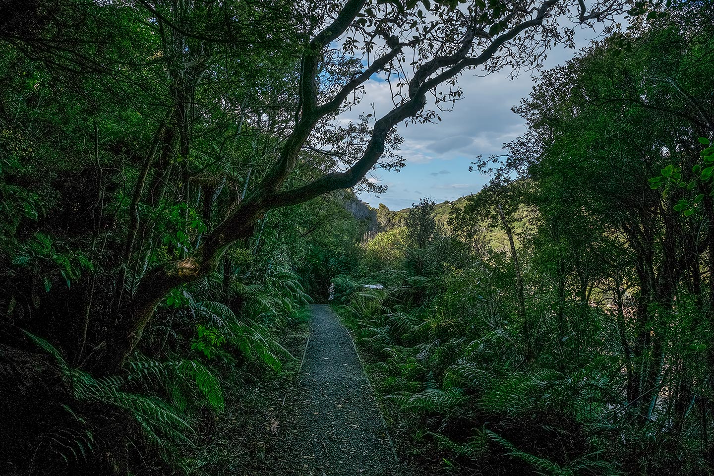 Golden Bay Track, Rakiura National Park, New Zealand