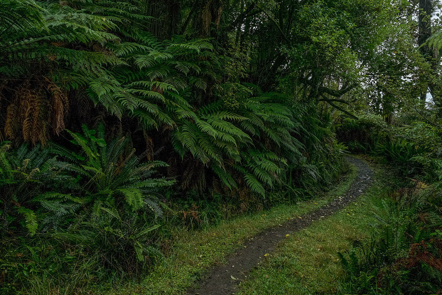 Horseshoe Point, Rakiura National Park, New Zealand