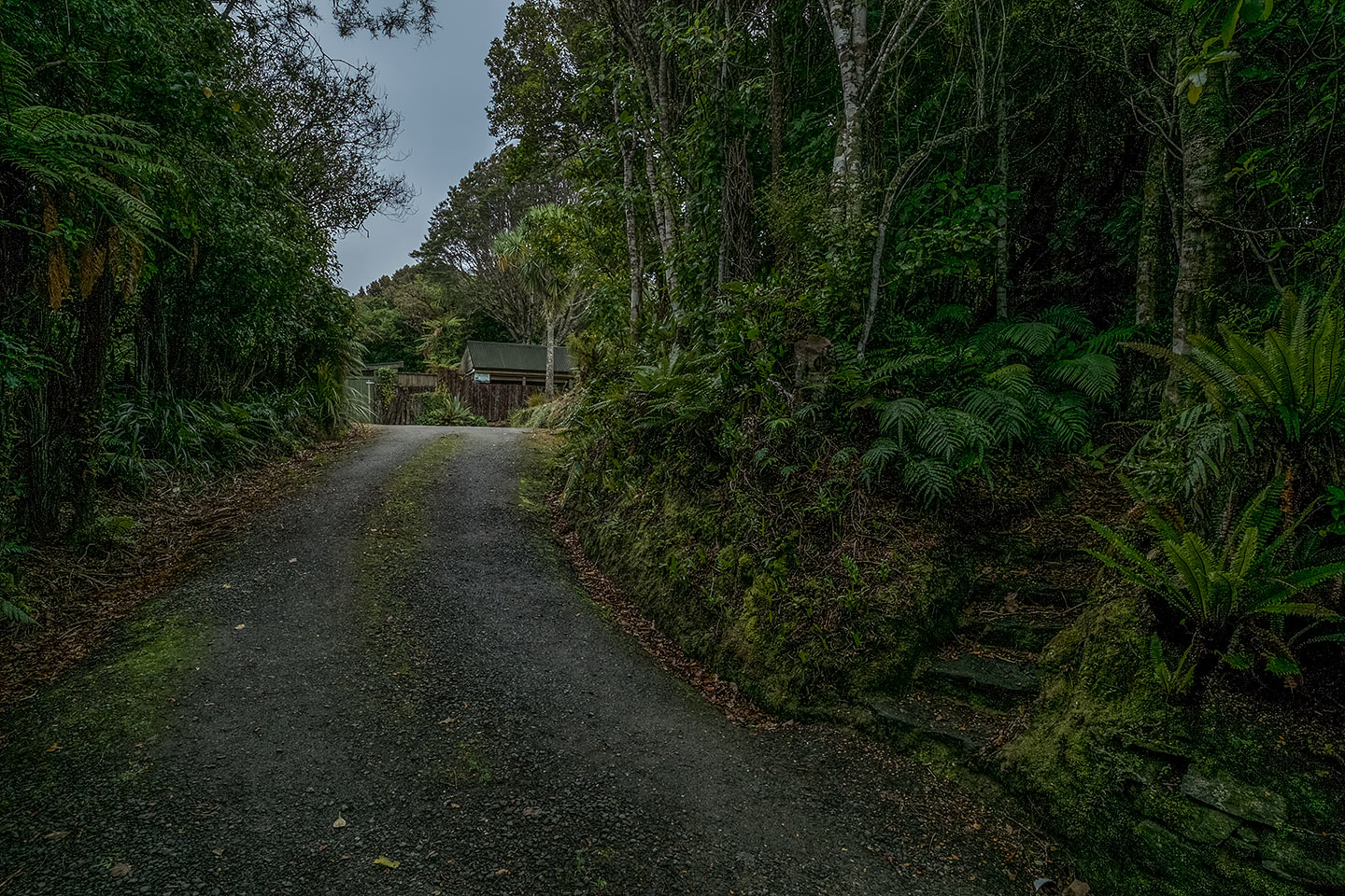 Moturau Moana Native Gardens, Rakiura National Park, New Zealand