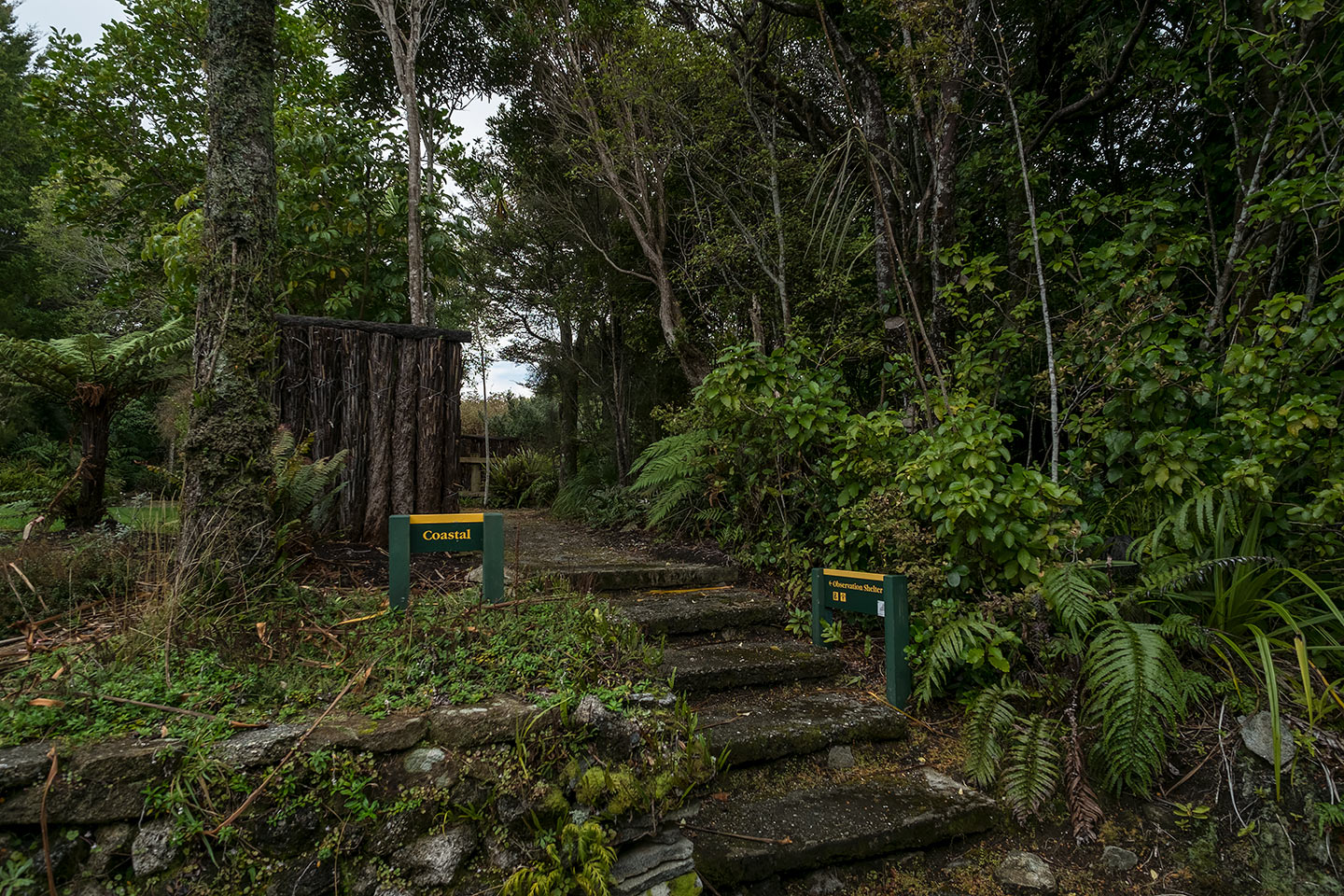 Moturau Moana Native Gardens, Rakiura National Park, New Zealand