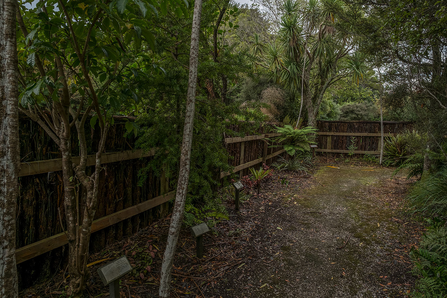 Moturau Moana Native Gardens, Rakiura National Park, New Zealand