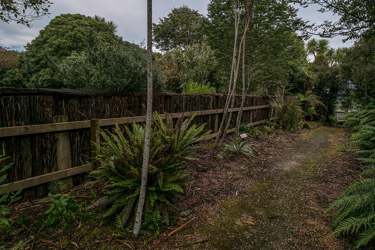 Moturau Moana Native Gardens, Rakiura National Park, New Zealand