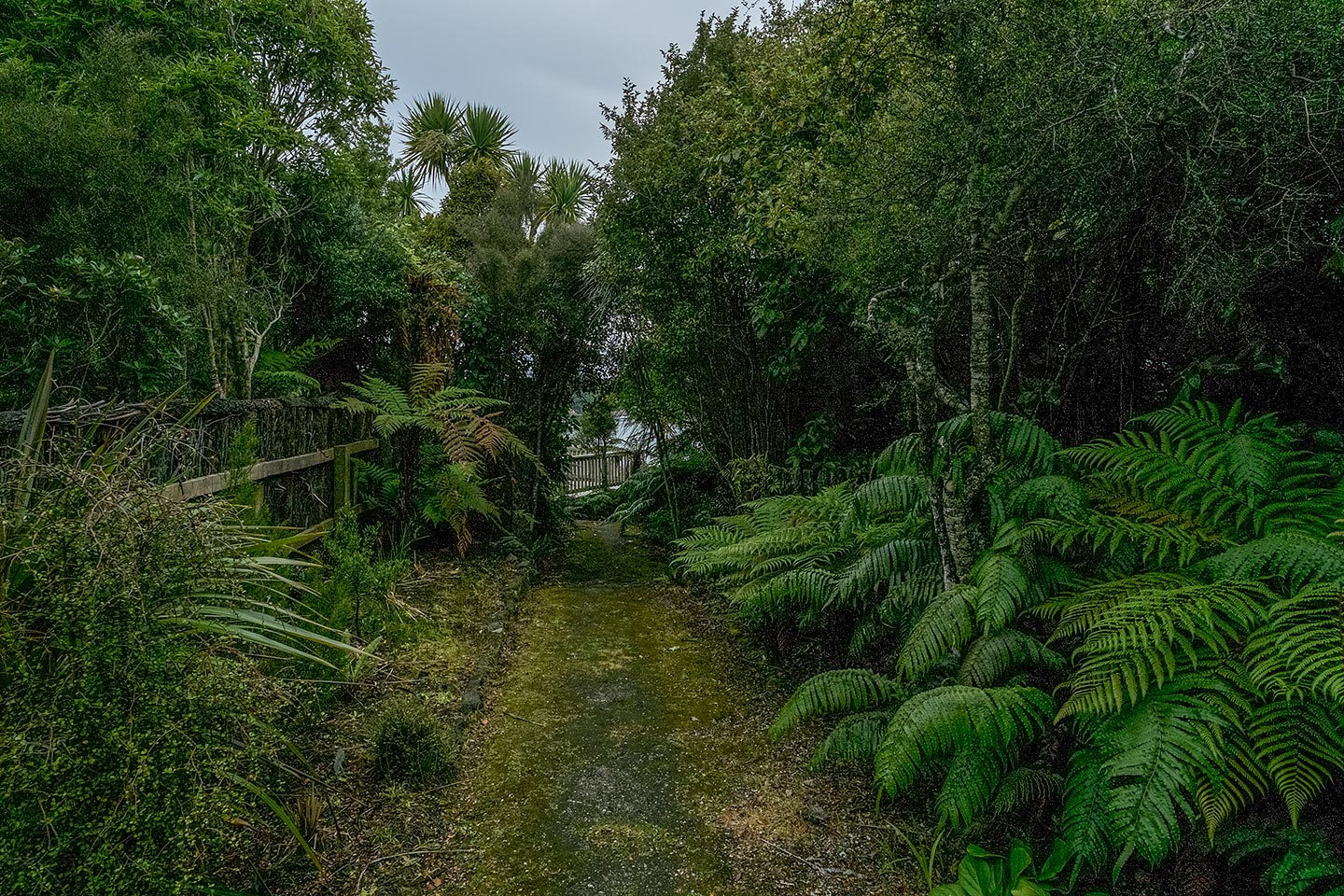 Moturau Moana Native Gardens, Rakiura National Park, New Zealand