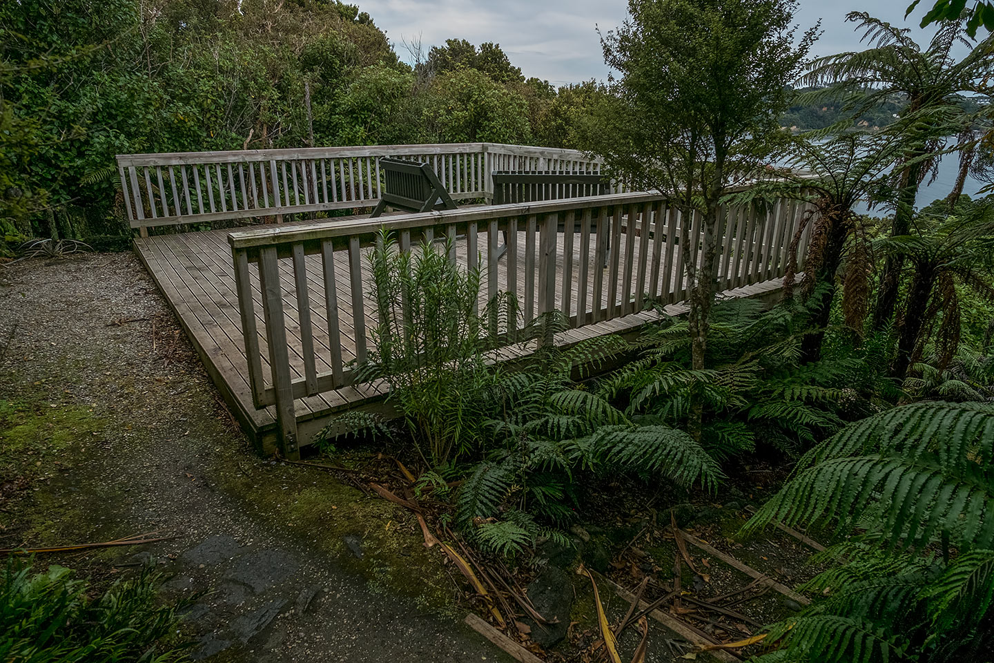 Moturau Moana Native Gardens, Rakiura National Park, New Zealand