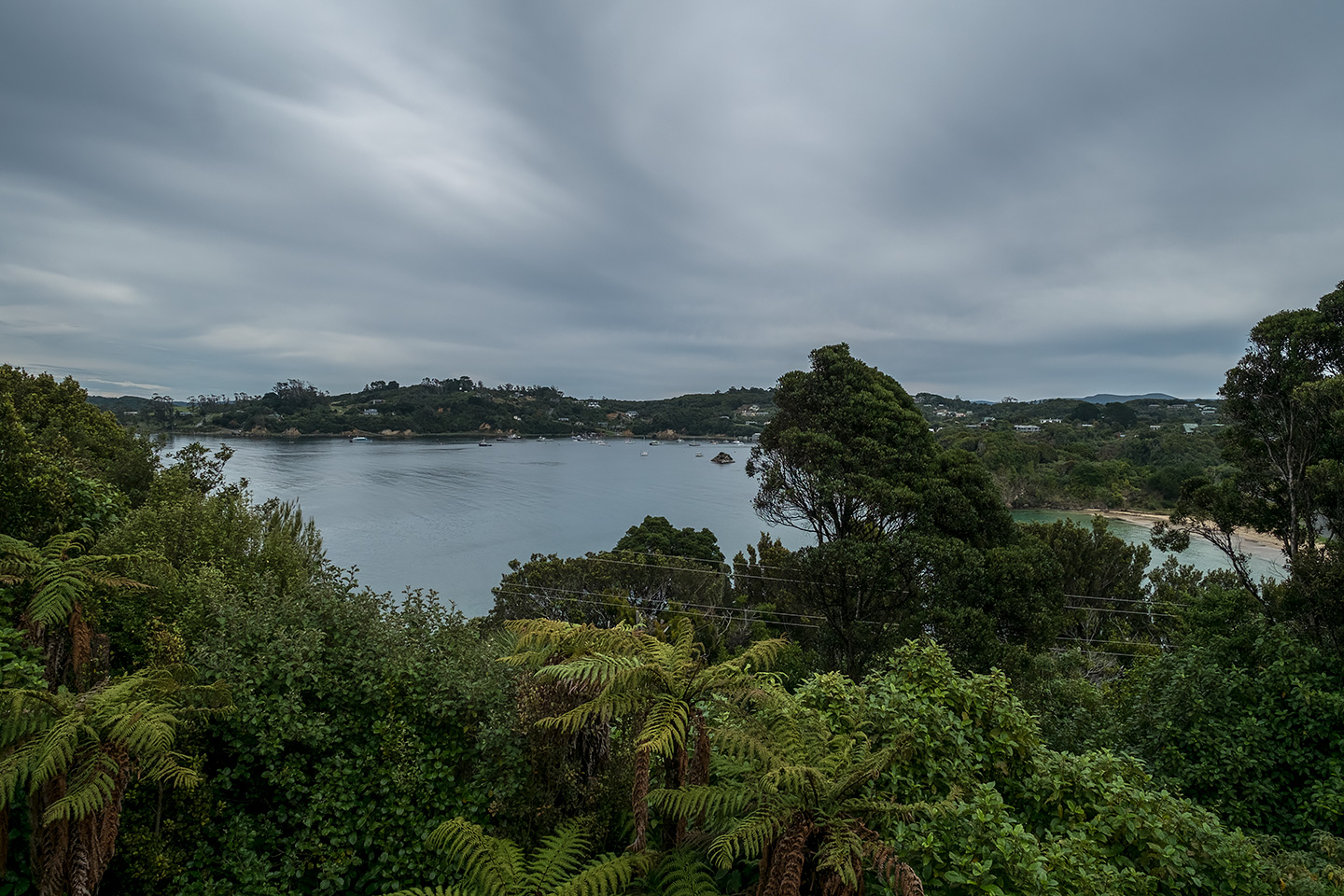 Moturau Moana Native Gardens, Rakiura National Park, New Zealand