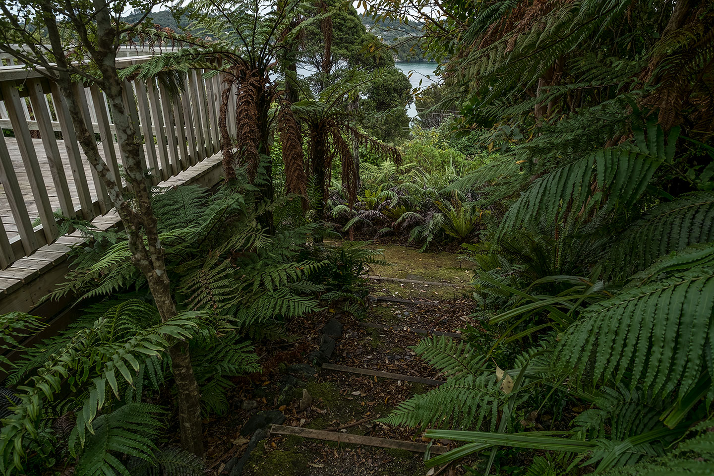 Moturau Moana Native Gardens, Rakiura National Park, New Zealand