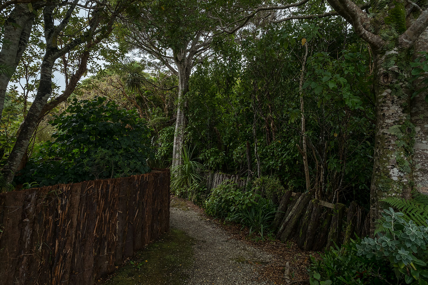 Moturau Moana Native Gardens, Rakiura National Park, New Zealand