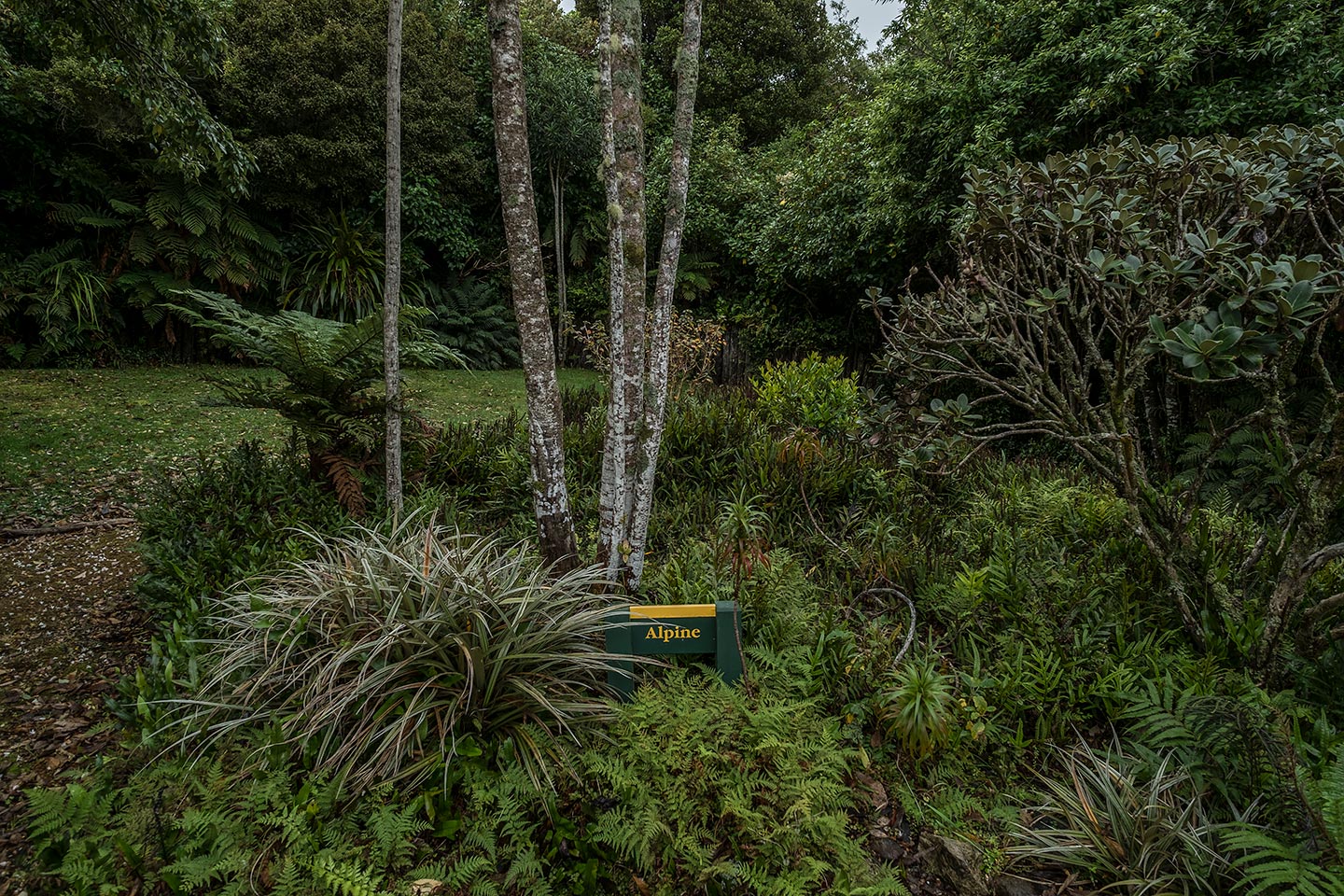 Moturau Moana Native Gardens, Rakiura National Park, New Zealand