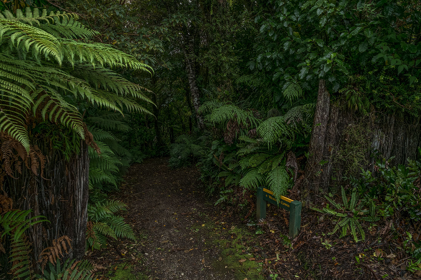 Moturau Moana Native Gardens, Rakiura National Park, New Zealand