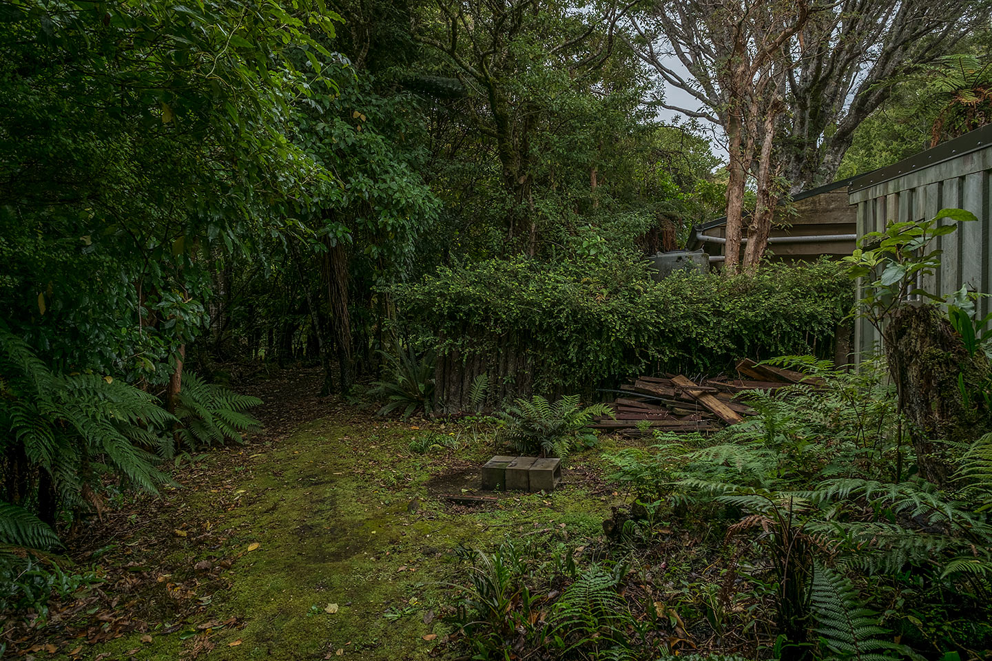 Moturau Moana Native Gardens, Rakiura National Park, New Zealand