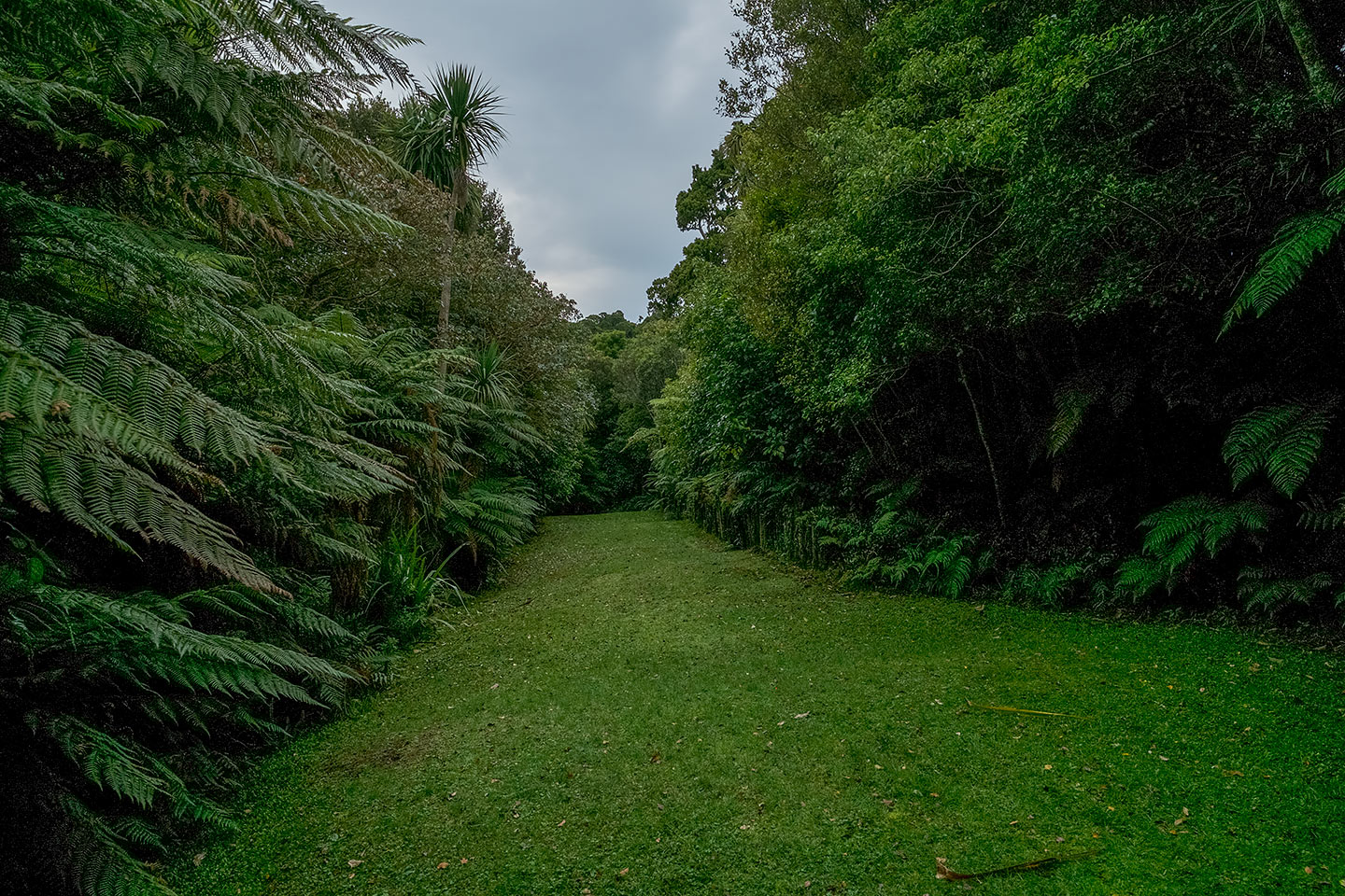 Moturau Moana Native Gardens, Rakiura National Park, New Zealand