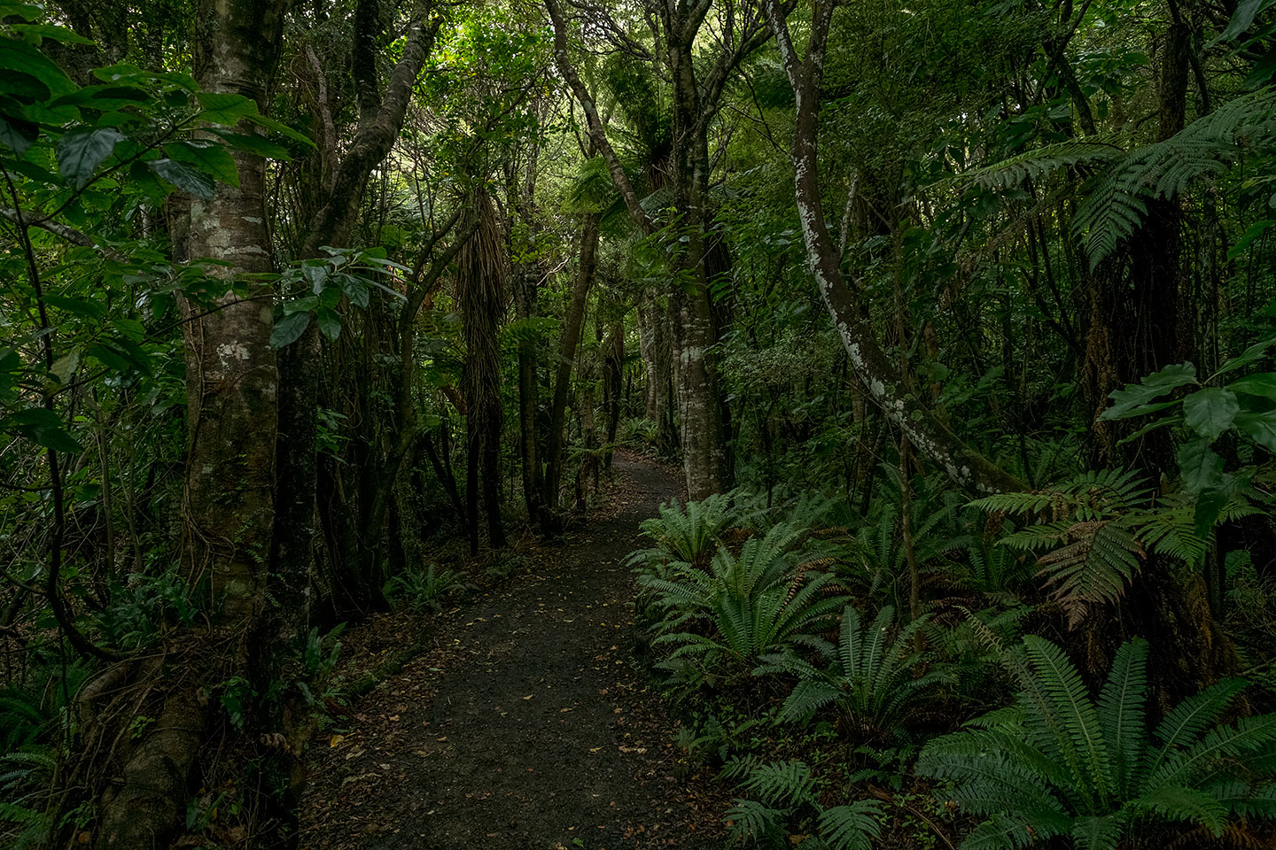 Moturau Moana Native Gardens, Rakiura National Park, New Zealand