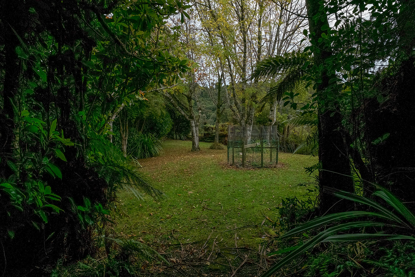 Moturau Moana Native Gardens, Rakiura National Park, New Zealand