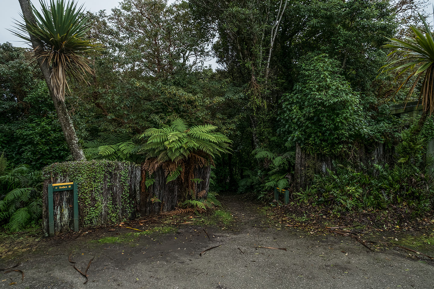 Moturau Moana Native Gardens, Rakiura National Park, New Zealand