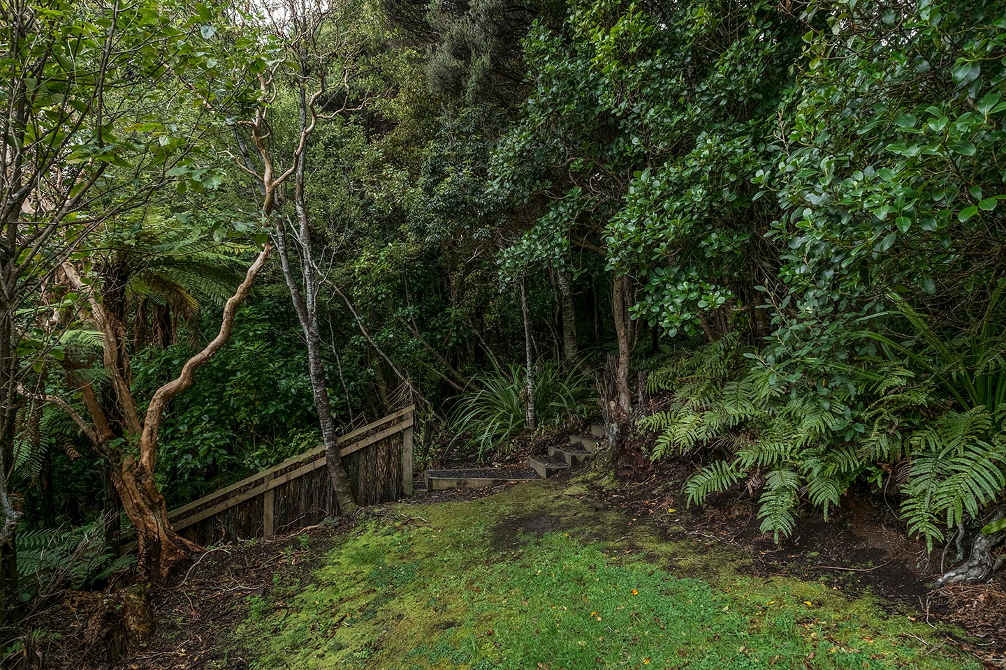 Moturau Moana Native Gardens, Rakiura National Park, New Zealand