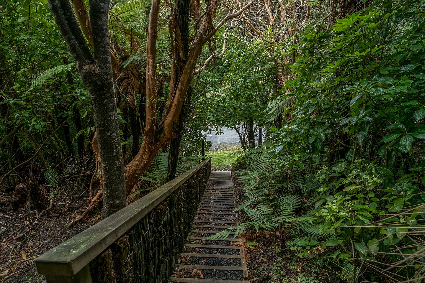 Moturau Moana Native Gardens, Rakiura National Park, New Zealand