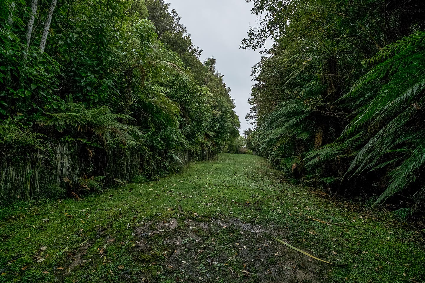 Moturau Moana Native Gardens, Rakiura National Park, New Zealand