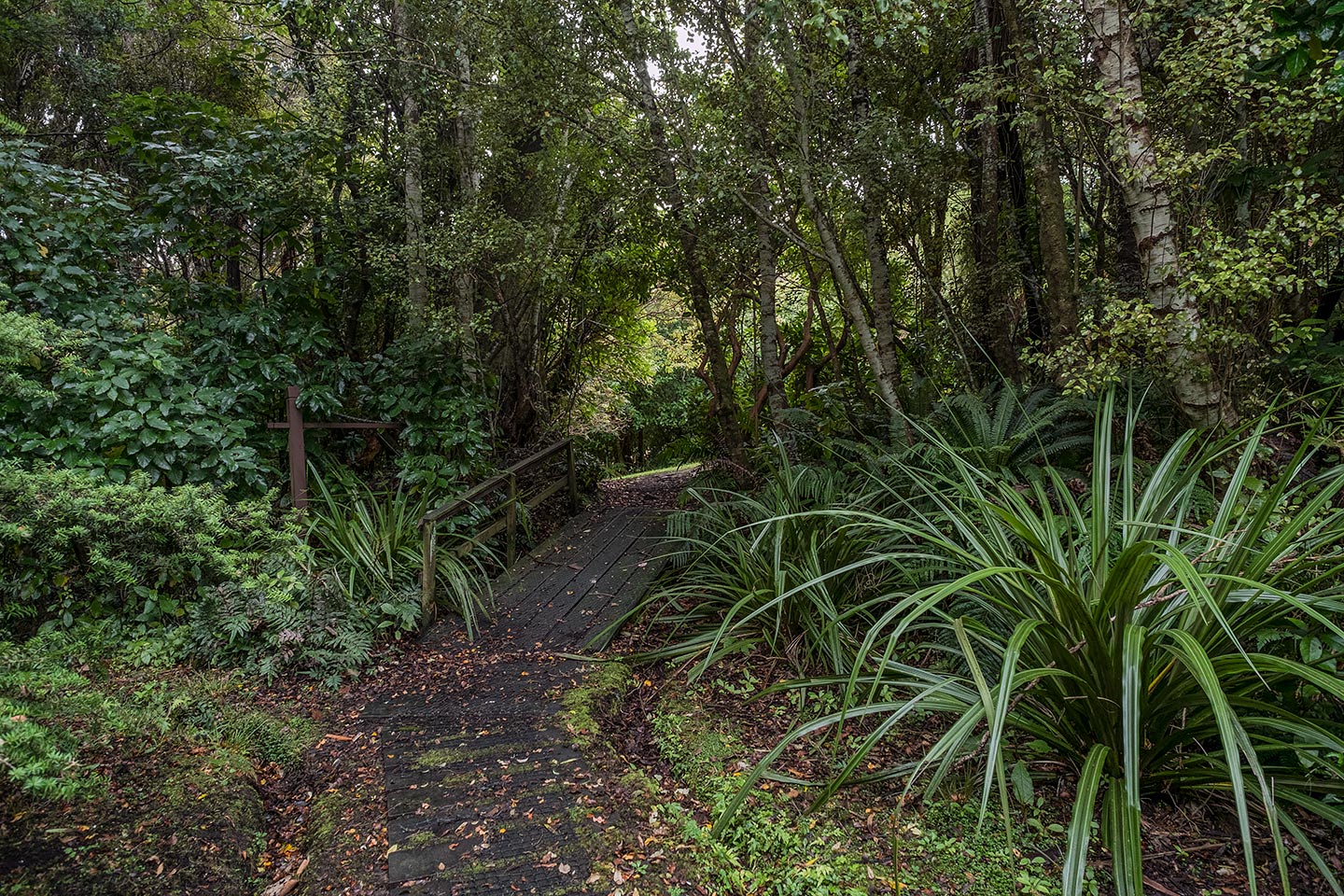 Moturau Moana Native Gardens, Rakiura National Park, New Zealand