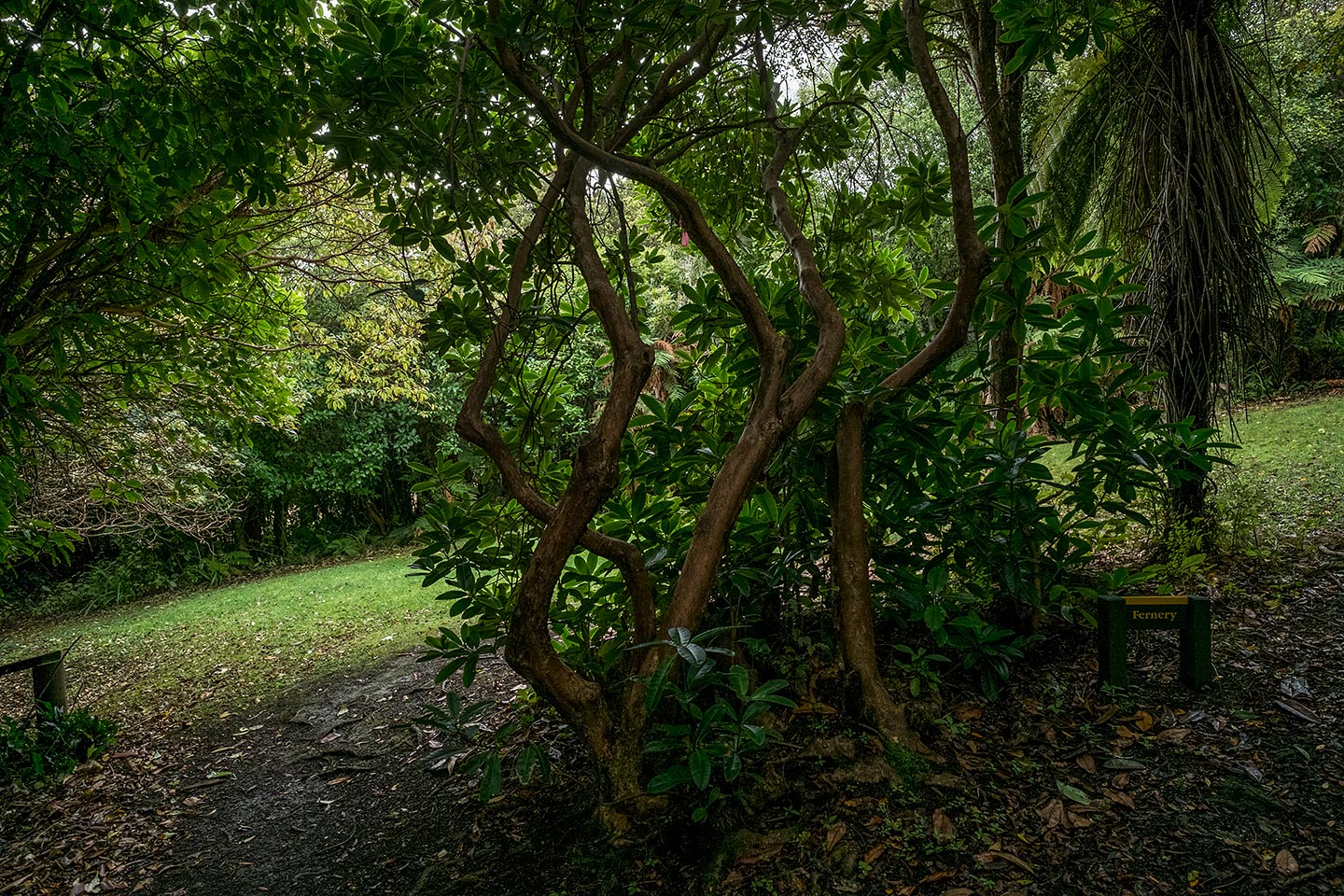 Moturau Moana Native Gardens, Rakiura National Park, New Zealand