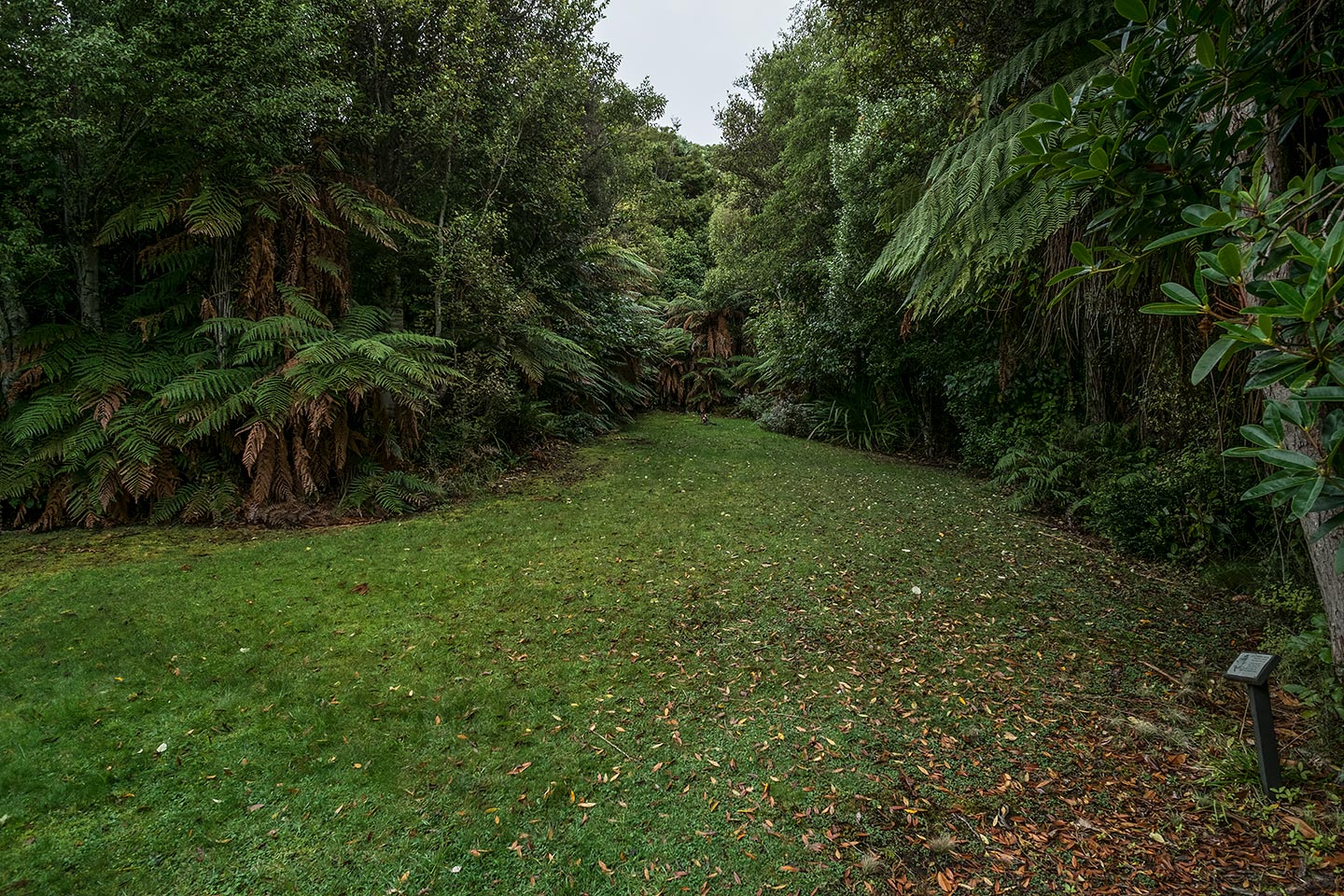 Moturau Moana Native Gardens, Rakiura National Park, New Zealand