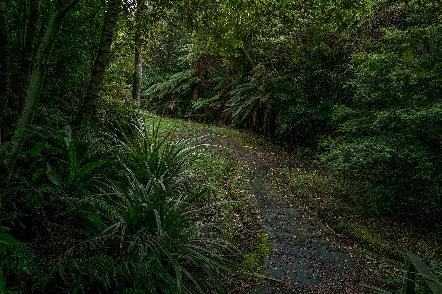 Moturau Moana Native Gardens, Rakiura National Park, New Zealand