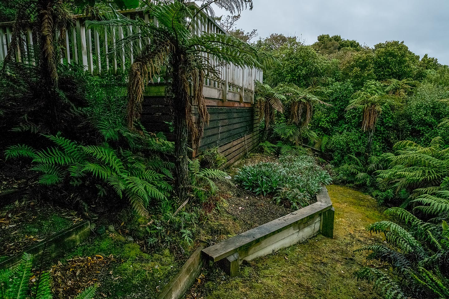 Moturau Moana Native Gardens, Rakiura National Park, New Zealand