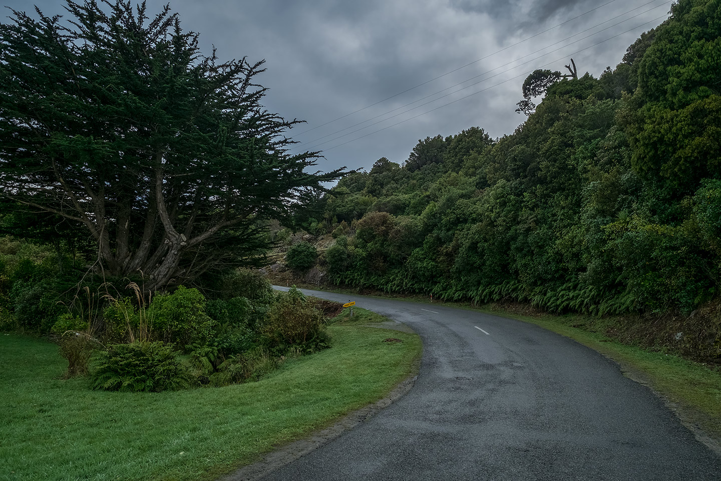 Moturau Moana Native Gardens, Rakiura National Park, New Zealand