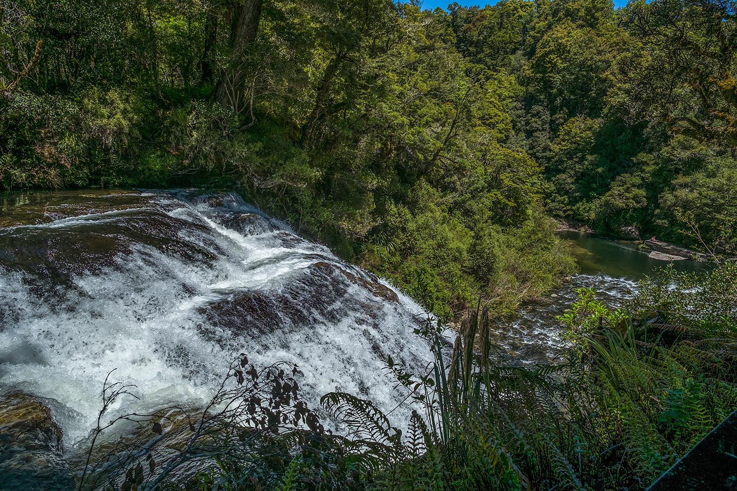Aniwaniwa Falls, Te Urewera, New Zealand