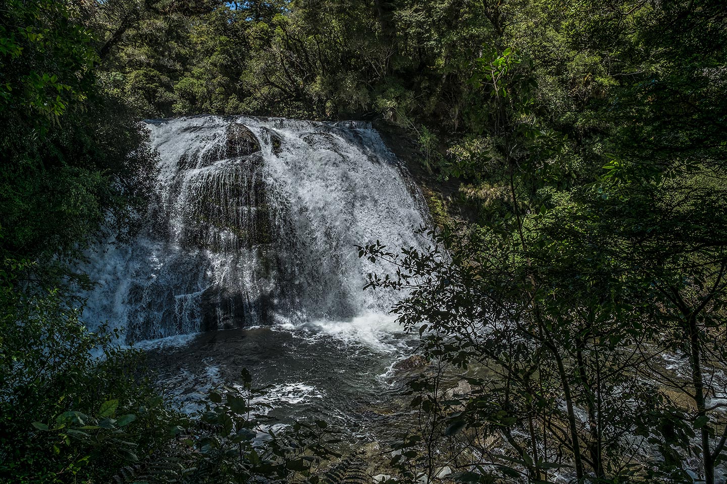 Aniwaniwa Falls, Te Urewera, New Zealand