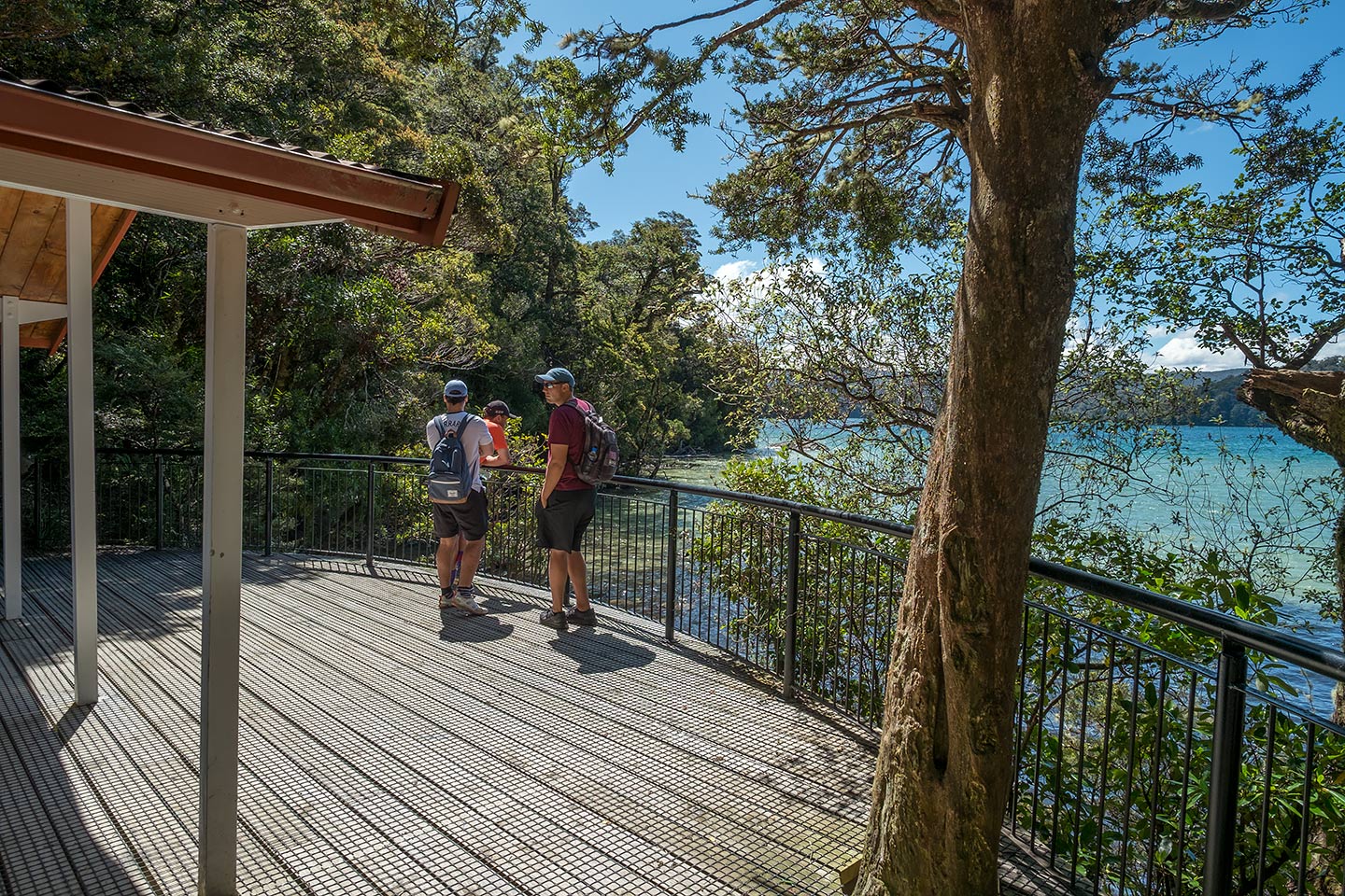 Lake Waikareiti Walk, Te Urewera, New Zealand